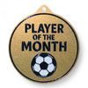 Quantum Football Player of the Month Stainless Steel Medal