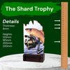 Shard Fishing Eco Friendly Wooden Trophy