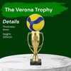 Verona Volleyball Trophy