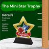 Mini Star Mini American Football Trophy
