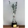 Chester Triathlon Silver Trophy