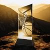 Peak Basketball Trophy
