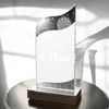 United Electronic Darts Acrylic Wood Fusion Trophy