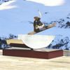 Barcelona Snowboarding Handmade Metal Trophy