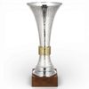 Tomba Silver Plated Cup