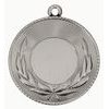 Accolade Laurel Logo Insert Silver Medal