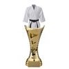 Trieste Martial Arts Jacket Trophy
