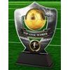 Club Colours Top Goal Scorer Shield Trophy