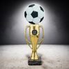 Verona Football Trophy