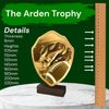 Arden Classic American Football Real Wood Shield Trophy