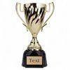 Radley Gold Cup