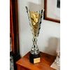 Chester Petanque Gold Trophy