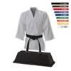 9 Belt Colour Martial Arts Kimono Trophy