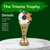 Trieste Pistol Shooting Trophy