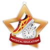 Physical Education Mini Star Bronze Medal