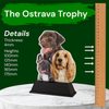 Ostrava Dog Multi Breed Trophy