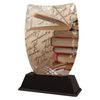 Iceberg Reading and Literature Trophy