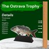 Ostrava Bream Fish Trophy