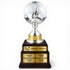 Arena Silver Metal Football Trophy