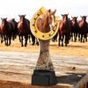 Toronto Horse and Horseshoe Trophy