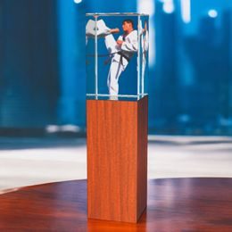 Lumina Martial Arts Wood and Glass Award