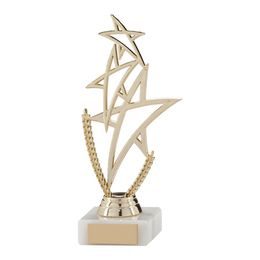 Rising Star Gold Achievement Trophy