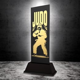 Shadowline Judo Female Trophy – Stainless Steel Award