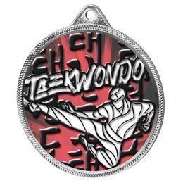 Taekwondo Colour Texture 3D Print Silver Medal