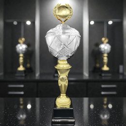 Reginald Silver & Gold Logo Cup