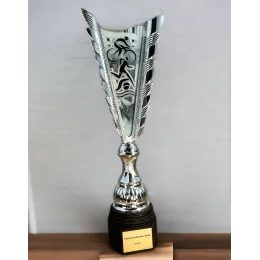 Chester Triathlon Silver Trophy