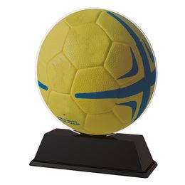 Volleyball Trophy