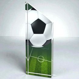 Everest Football Trophy