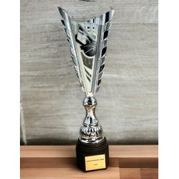 Chester Basketball Silver Trophy