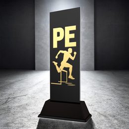 Shadowline School PE Trophy – Stainless Steel Award