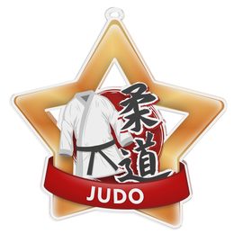 Judo Mini Star Bronze Medal