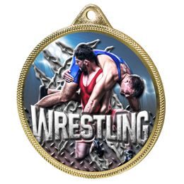 Wrestling Colour Texture 3D Print Gold Medal