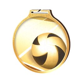 Habitat Classic Volleyball Gold Eco Friendly Wooden Medal