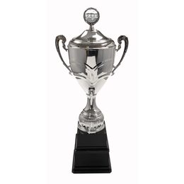 Skyscraper Rowing Silver Perpetual Logo Cup