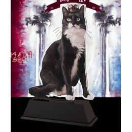 Ostrava Cat Show Trophy