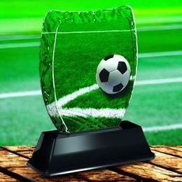 Iceberg Football Pitch Trophy