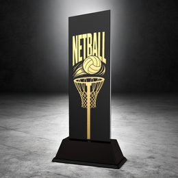 Shadowline Netball Trophy – Stainless Steel Award