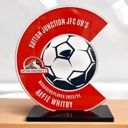 Tesla Landscape Custom Made Acrylic Award