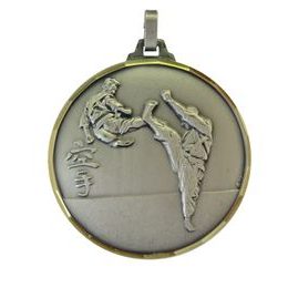 Diamond Edged Taekwondo Kick Silver Medal