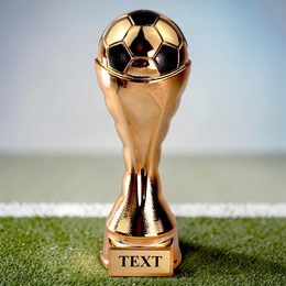 Bronze Summit Heavyweight Football Trophy