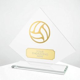 Vanguard Glass and Metal Fusion Netball Trophy