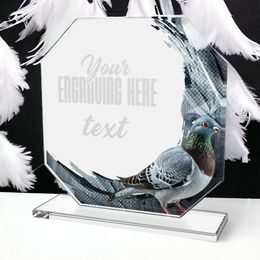 Hopper Pigeon Glass Award