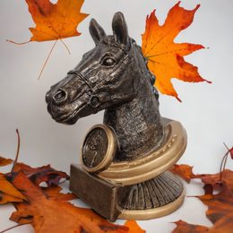 Endurance Horse Head Trophy