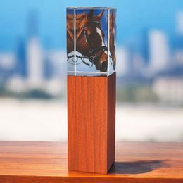 Lumina Equestrian Horse Wood and Glass Award