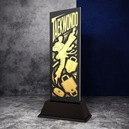 Shadowline Taekwondo Male Trophy – Stainless Steel Award