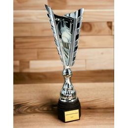 Chester Baseball Silver Trophy